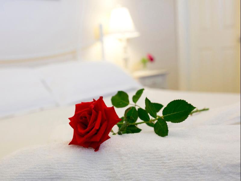 Newcastle'S Bed & Breakfast Экстерьер фото