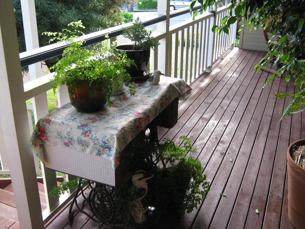 Newcastle'S Bed & Breakfast Экстерьер фото